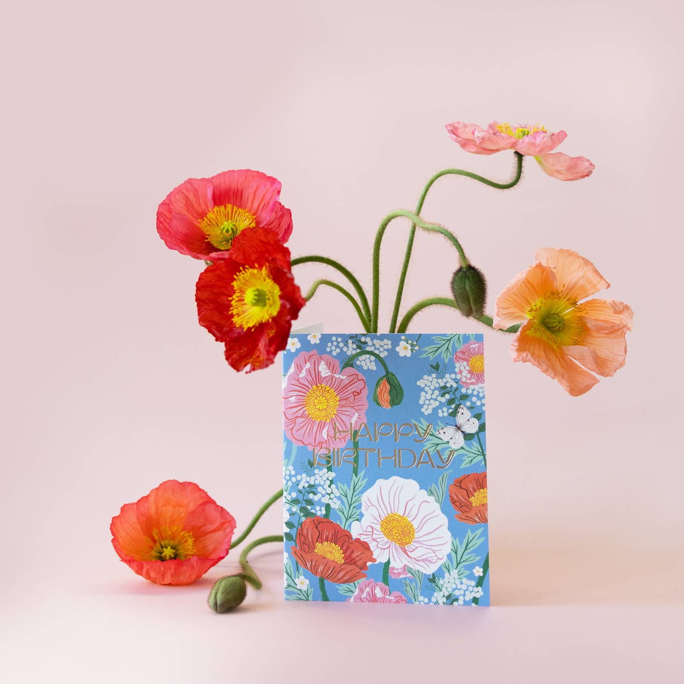Poppies Birthday Card