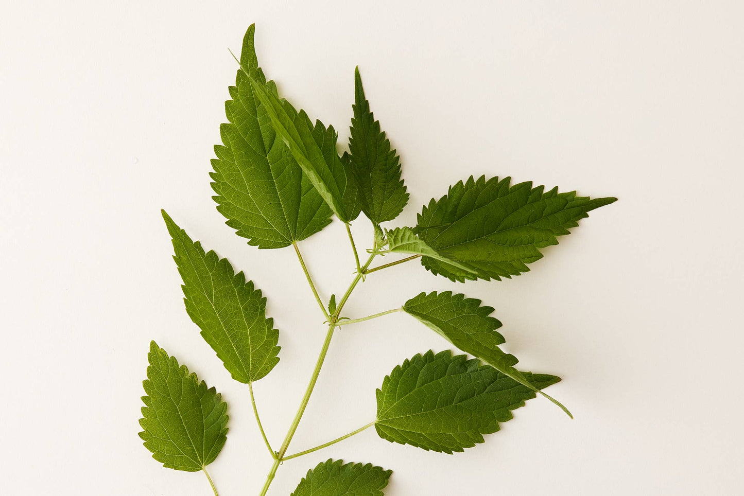 Under Luna Clear Conditioner