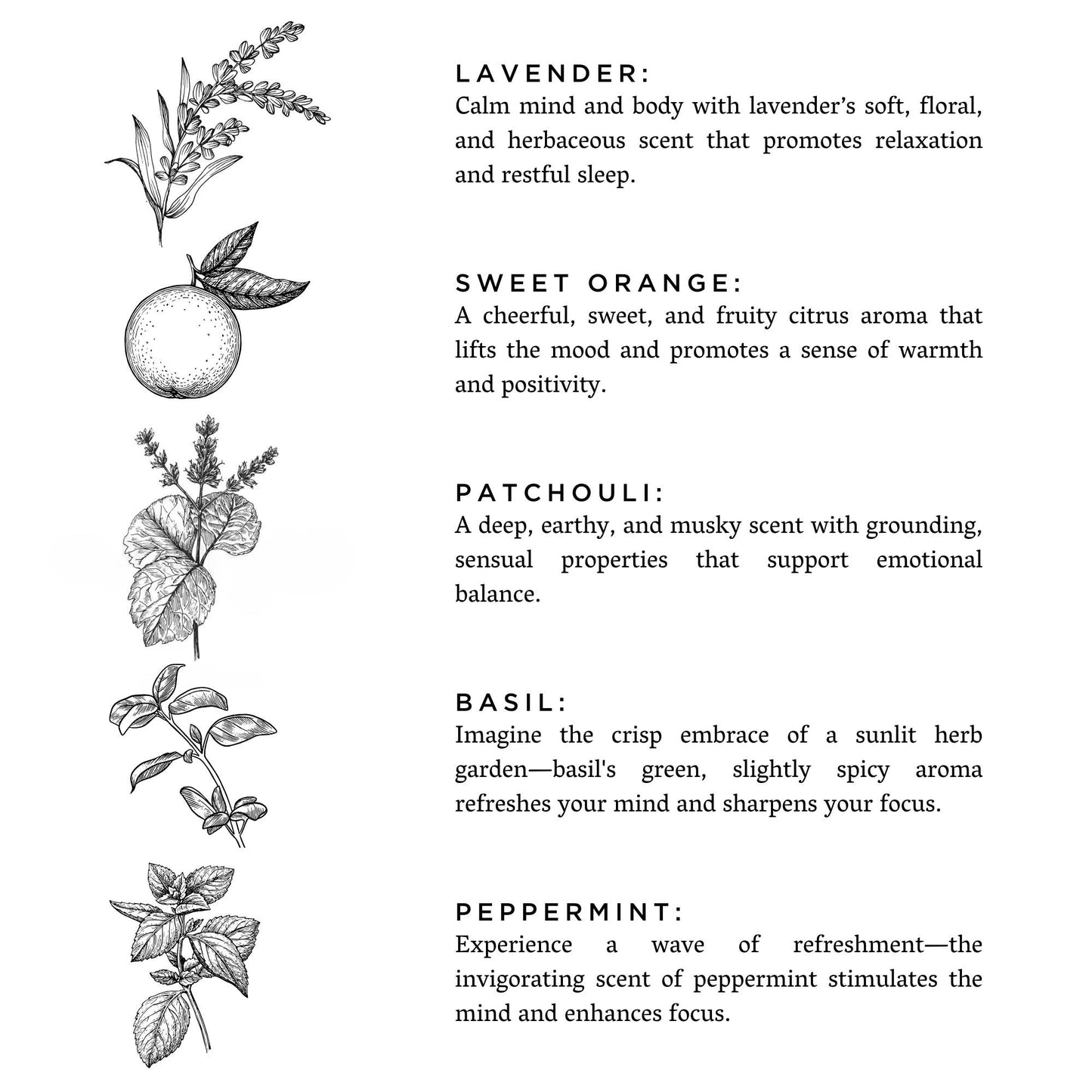 Slow North Bath Salts | Revive