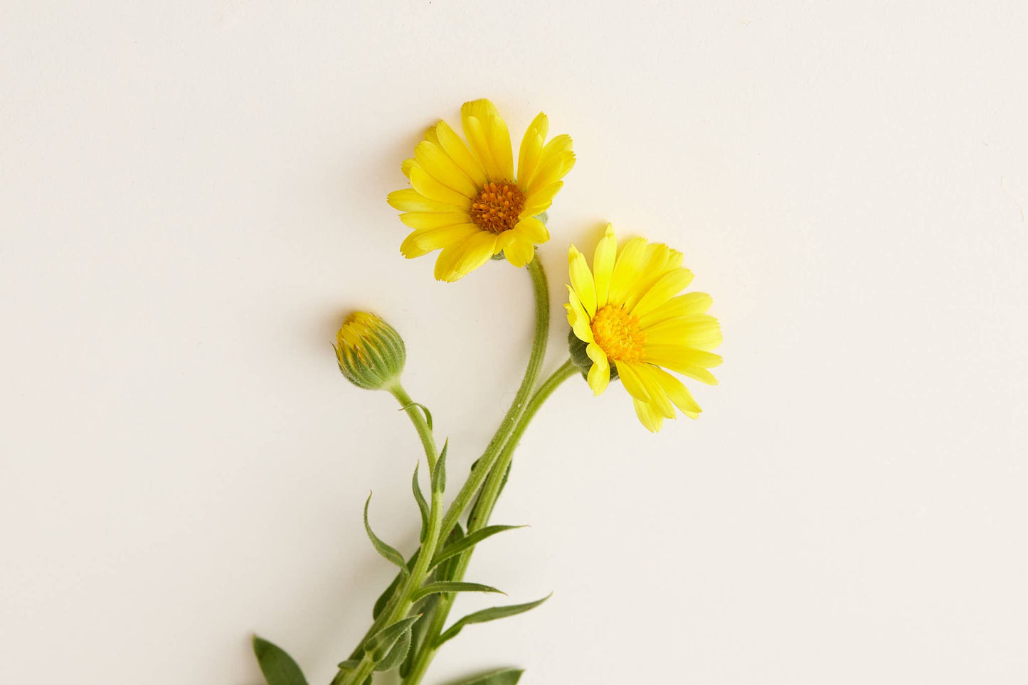 Under Luna Serenity Conditioner