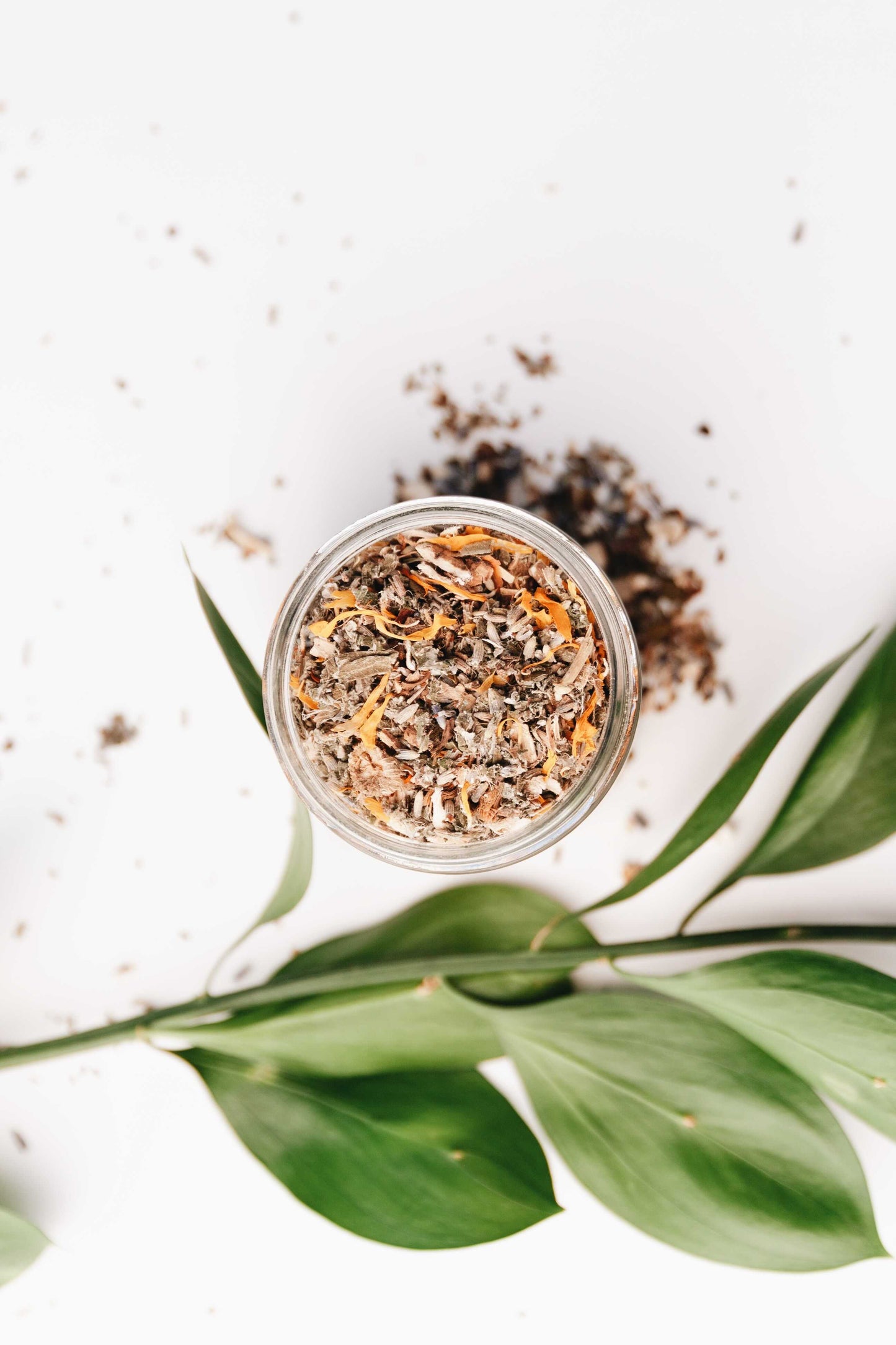 Slow North Herbal Facial Steam