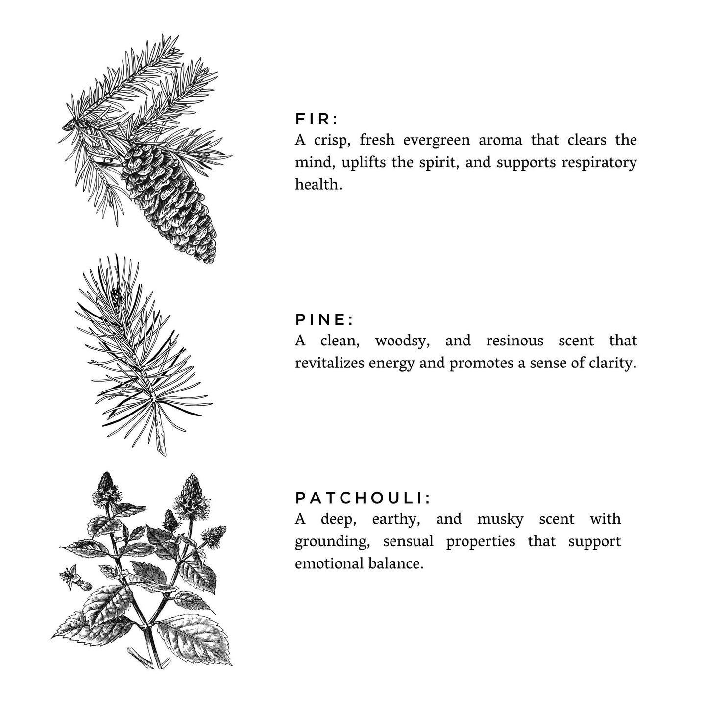 Slow North Forest Bathing (Fir, Patchouli, Pine) Non-Toxic Candle