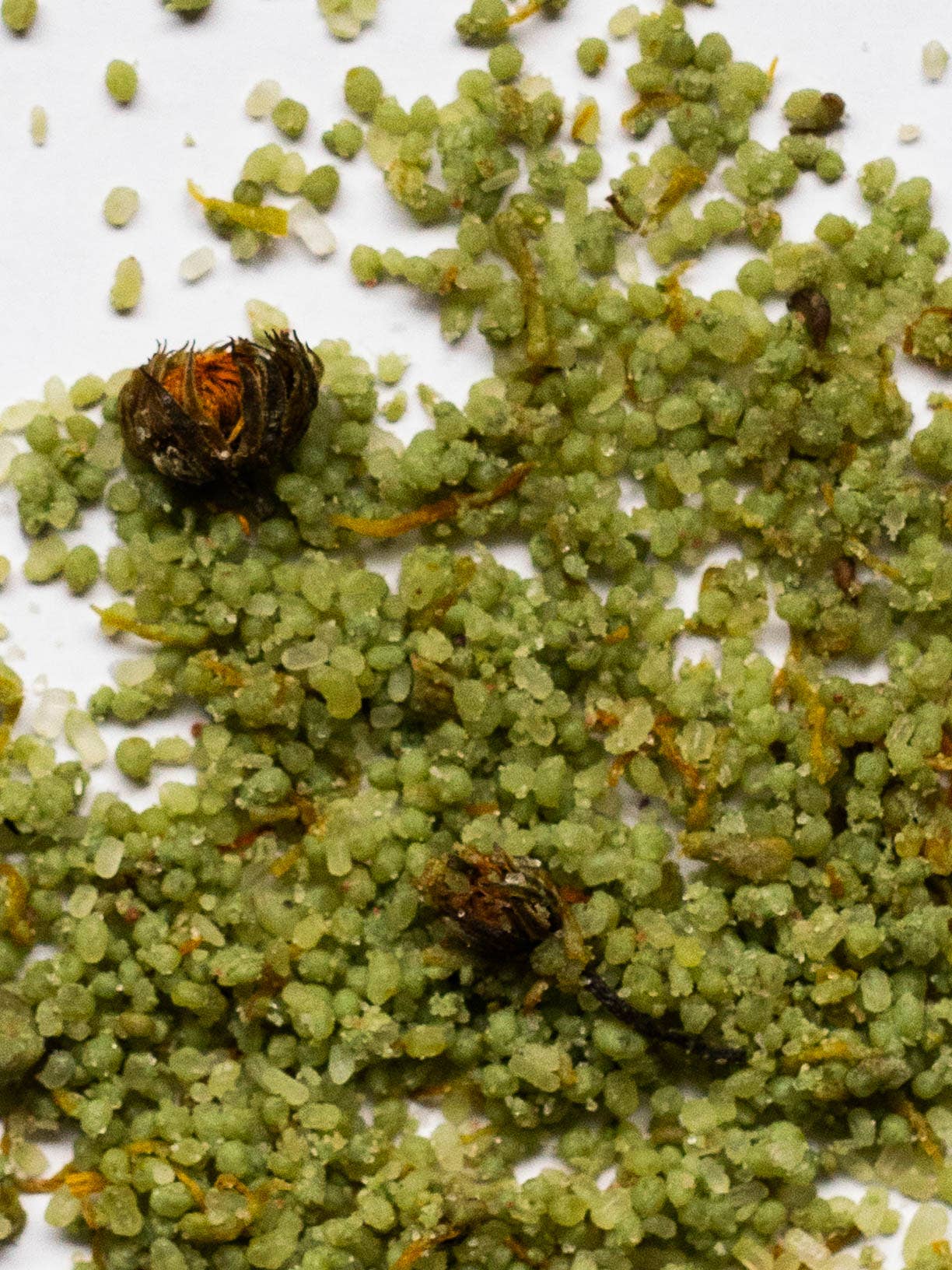 Merigold Calendula & Clay Bath Soak