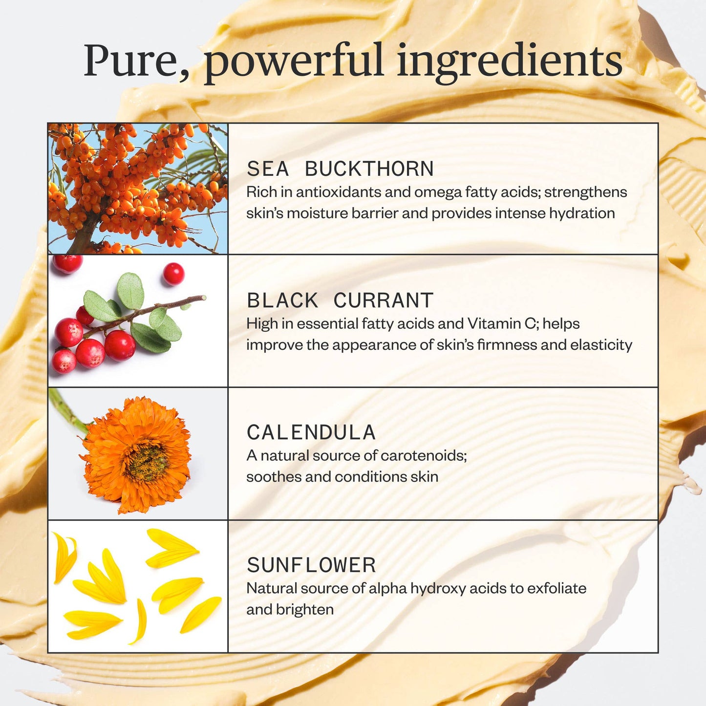 Ursa Major Golden Hour Recovery Cream