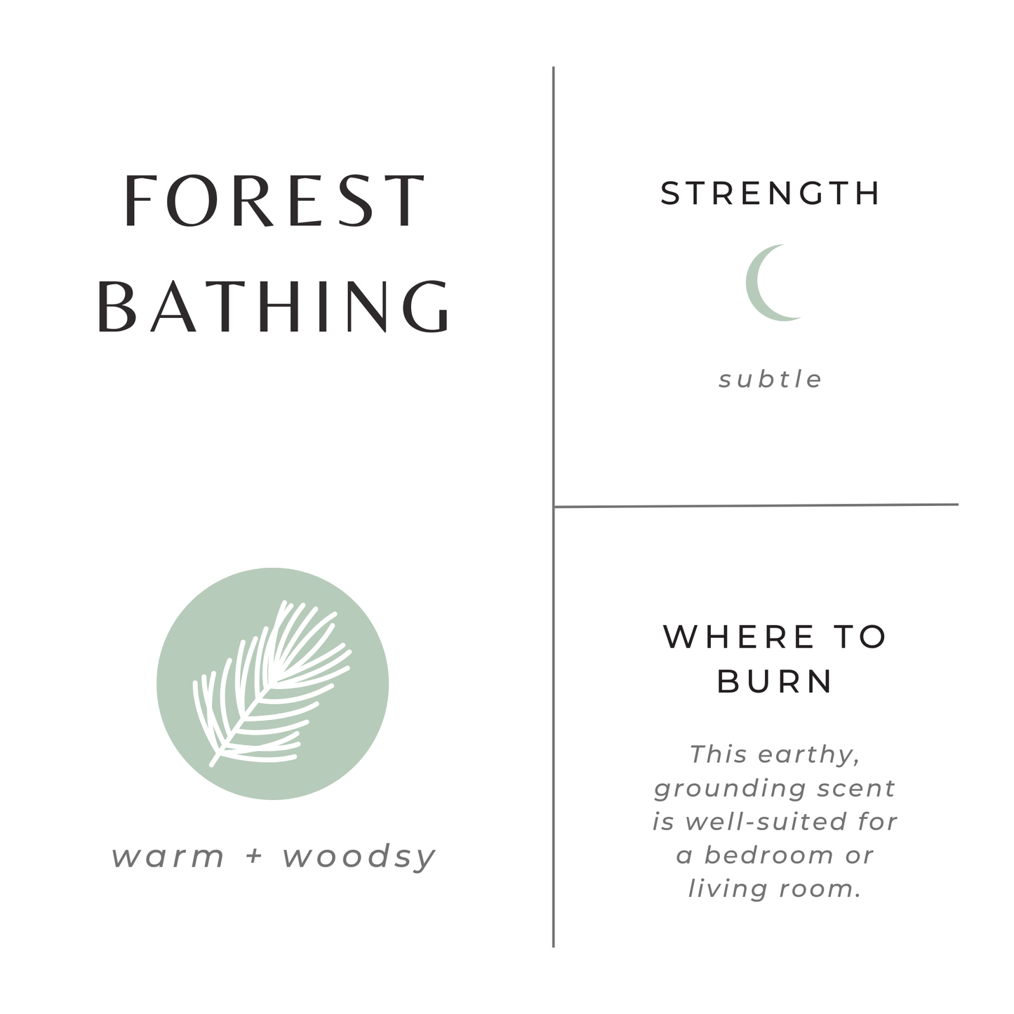 Slow North Forest Bathing (Fir, Patchouli, Pine) Non-Toxic Candle