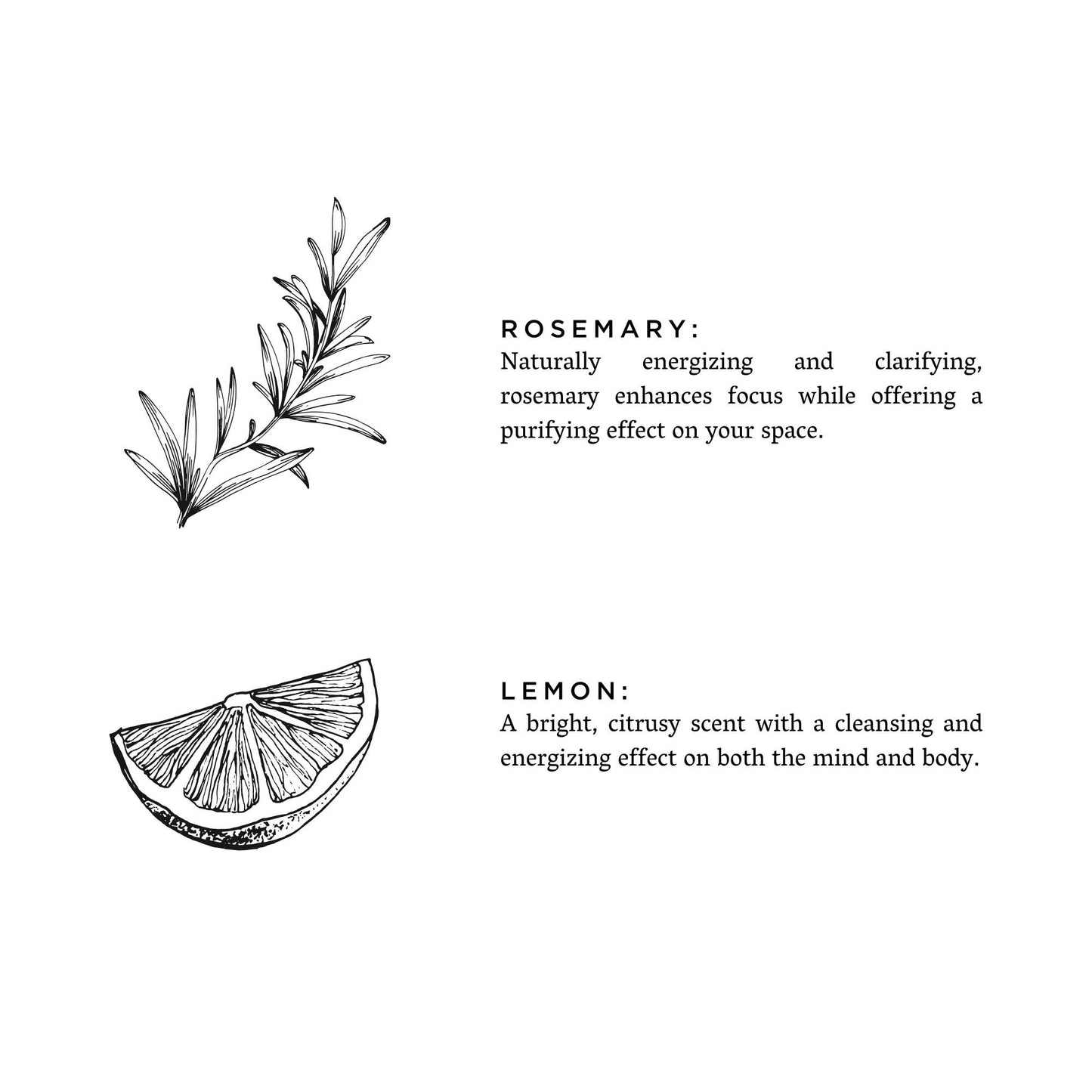 Slow North Rosemary + Lemon - Non-Toxic Candle, Essential Oil