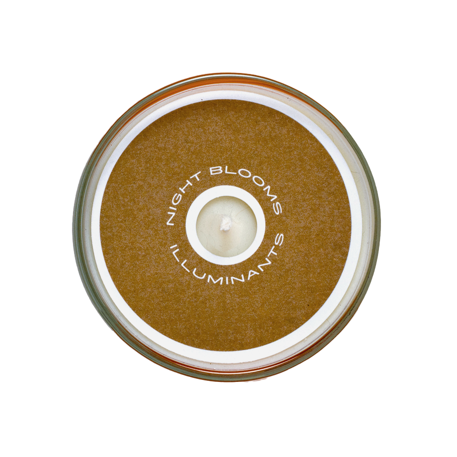 Prickly Wild Rose 8 oz. Candle